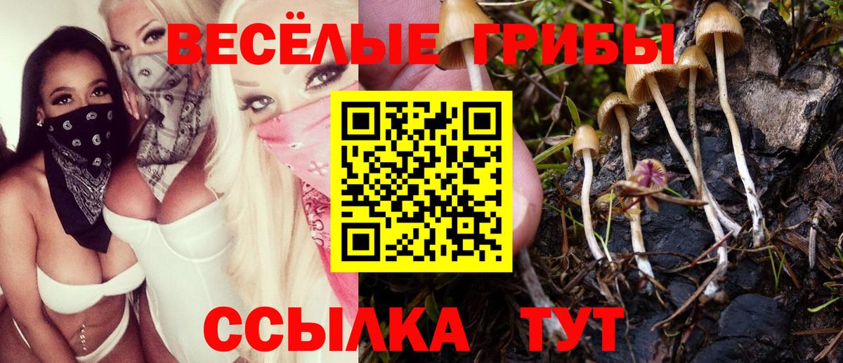 Скопин  Галлюциногенные грибы мухоморы  Вход с VPN  Псилоцибиновые грибы Magic Shrooms 