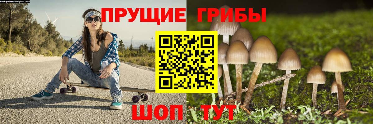 Галлюциногенные грибы Psilocybine cubensis Скопин